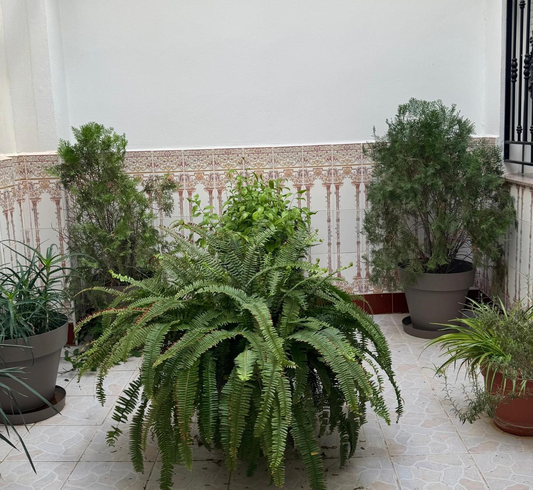 Hotel Ciudad Pozo Alcon Luaran gambar